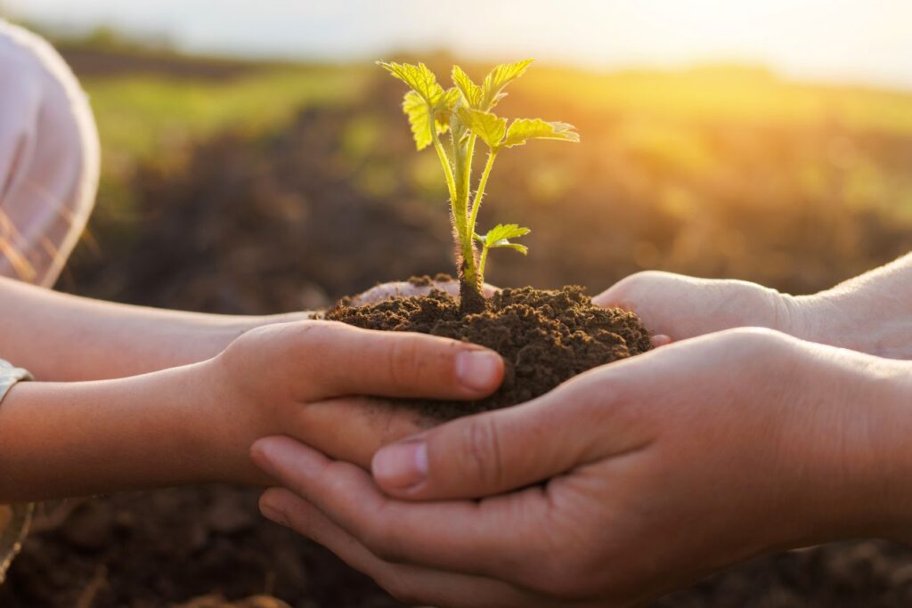 Kinder- und Erwachsenenhaende halten gemeinsam Erde mit Keimpflanze im Garten, Symbol fuer Nachhaltigkeit durch zisterne im privaten Bereich